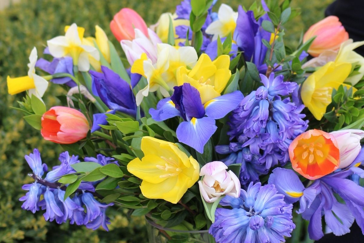 Як весняні букети квітів найбільш популярні в цьому році